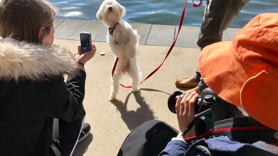 a group of children are photographing a dog which is standing on his hind legs