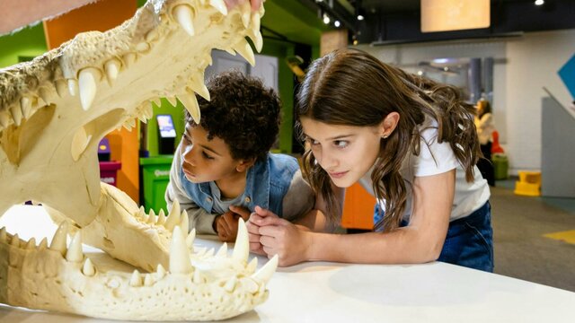 A boy and a girl examining a crocodile skull at Questacon