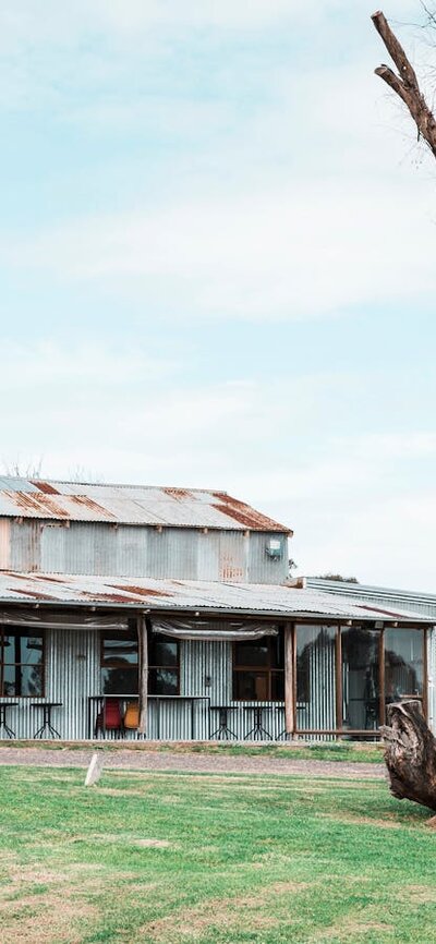The Woolshed Gallery is one of Canberra's most distinctive gallery spaces. A shed made out of corrugated iron, in parts rusted, sits behind the stump of a tree.