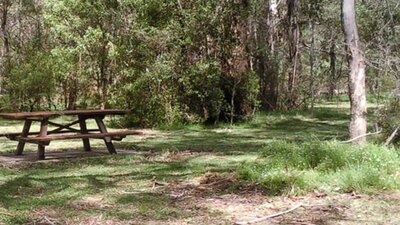 Mullon Creek campground, Tallaganda National Park. Photo: S Jackson/NSW Government