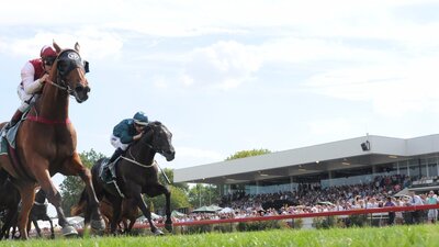 Horses on the track with crowded stands in the background