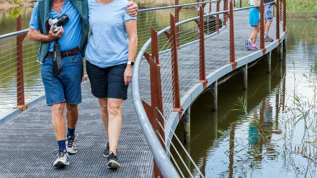 The Sanctuary has an abundance of wildlife for you to discover, as does the Koala enclosure Tid Boardwalk