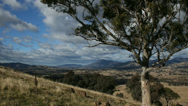 Urambi Hills Urambi Hills