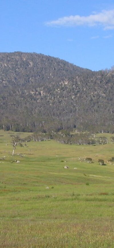 View of ranges with expansive grasslands in the foreground