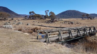 Old wooden bridge over a stream in the bush