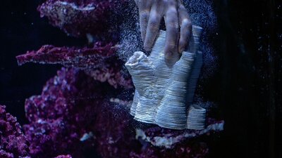 A hand holds a ceramic scultpure in a fish tank with blue, and purple light