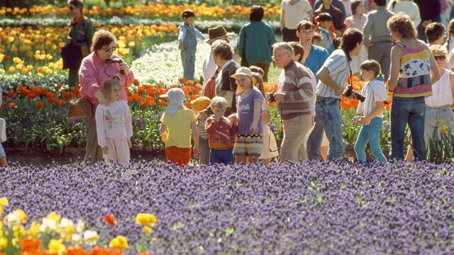 Photograph of visitors at Floriade in 1988