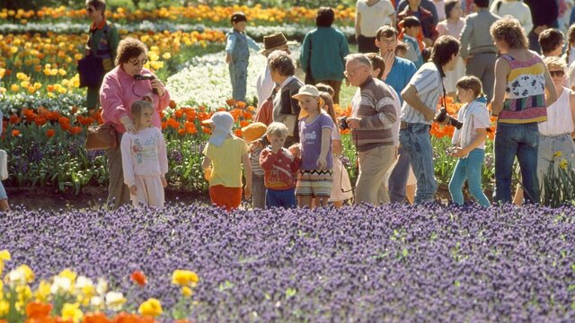Photograph of visitors at Floriade in 1988