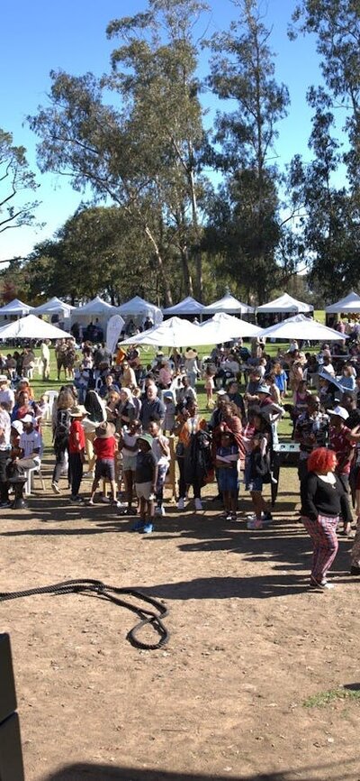 attendees at the African Festival in the Park