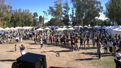 attendees at the African Festival in the Park