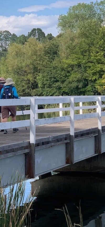 Walkers on bridge