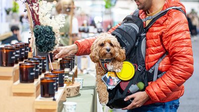 Boho Luxe Market