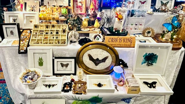 Atticurio Bizarre Market Curiosity & Oddities Stall