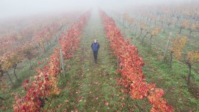 A winemaker walks in an autumn Canberra vineyard.