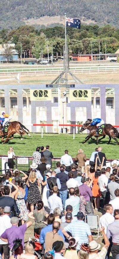 View of horses crossing the finishing post in front of a crowded stand