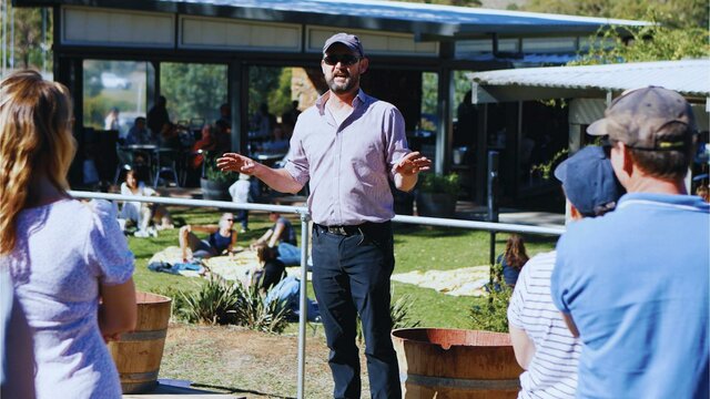 Stomp Festival Grape Stomping