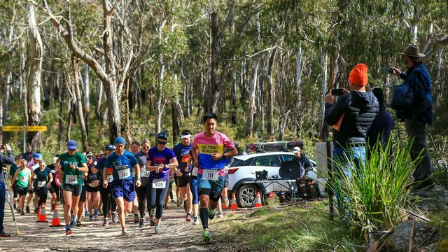 Capital to Coast 2024 Runners running through the bush