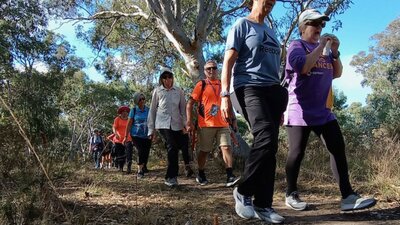 a group of people walking through the bush