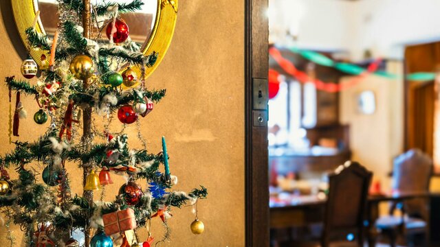 Christmas tree display at Calthorpes House