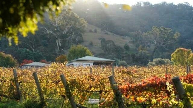 Lake George Winery