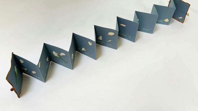 Concertina Book Workshop with Sharon Peoples. Folded paper material with writing and floral illustrations