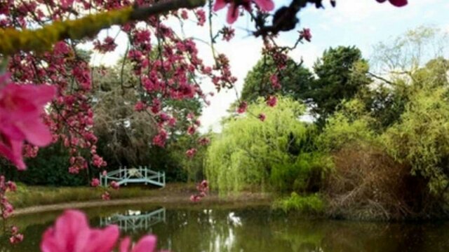 Peaceful Setting Peaceful Setting