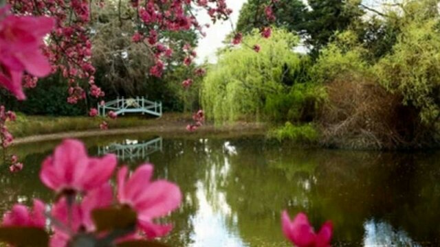 Peaceful Setting Peaceful Setting