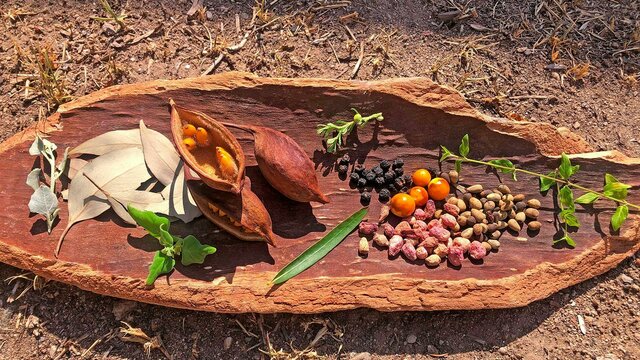 A selection of leaves, nuts and berries are displayed on a traditional wooden vessel