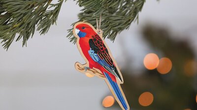 Crimson Rosella decoration