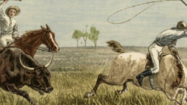 The Queenslander ‘Cutting Out’ A Fat Beast, from Notes on Queensland, April 1894. An illustration of men on buffalos with whips