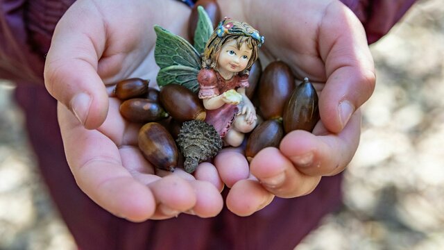Nature Play childs cup hands holding acorns and a fairy