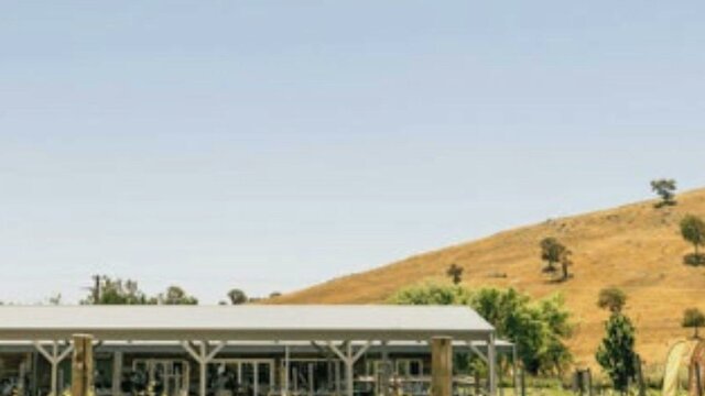Four Winds Vineyard Four Winds Vineyard