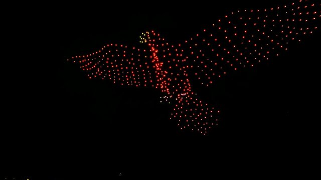 Eagle on night sky