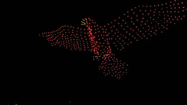 Eagle on night sky