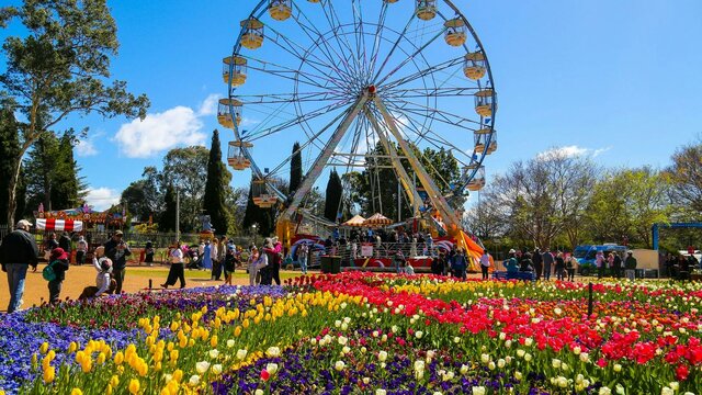 Floriade Ferris Wheel photo of a ferris wheel with people walking past and flowers in front