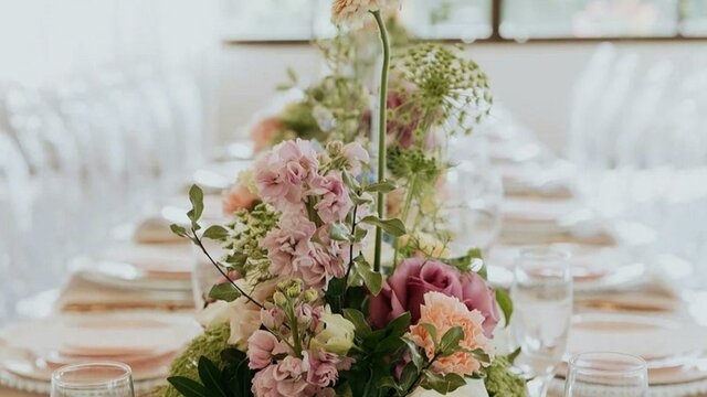 Gold Coast Pop Up Weddings