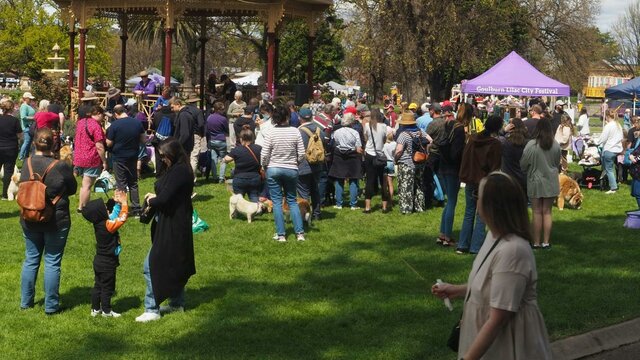 Festival 2021 Festival turnout 2021