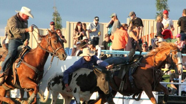 Rodeo