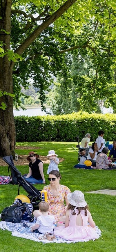 People sitting on picnic rugs on lawn with trees in the background