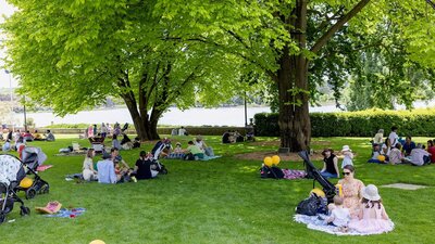 People sitting on picnic rugs on lawn with trees in the background