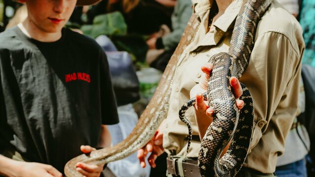 Snakes at Haig Park Village Markets An image of a lady with a snake around her neck. A child nearby pats the snake.