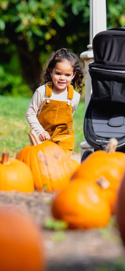 Family exploring pumpkin garden at Lanyon Homestead