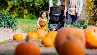 Family exploring pumpkin garden at Lanyon Homestead