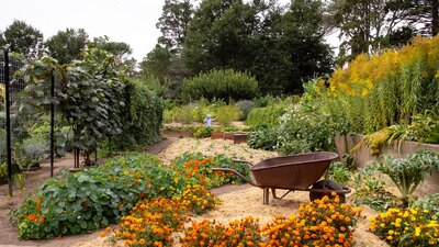 Gardens at Lanyon Homestead