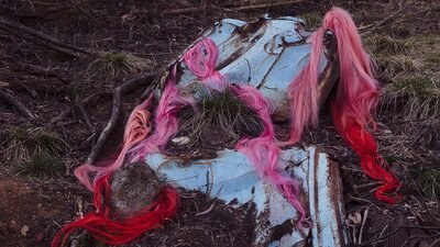 a bushland scene with what appears to be a discarded metal structure with red and pink hair