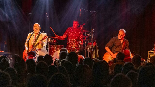 Picture of Black Sorrows performing live on stage