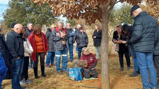 Truffle Hunt Truffle Hunt