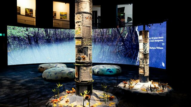 Mangroves - Tales of the Tide exhbition space at Questacon Mangroves - Tales of the Tide exhbition space at Questacon