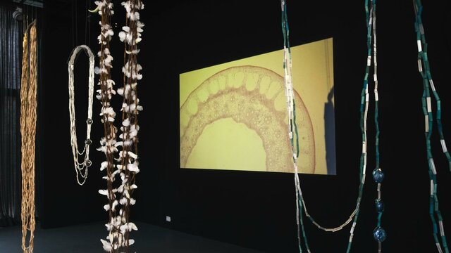 Installation view of Maree Clark: Seeing the Invisible with reed necklaces and projection in backgro