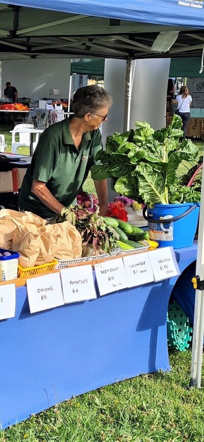 Community Stall Local vegetables and plants